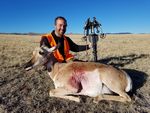04 Carl 2017 Antelope Doe